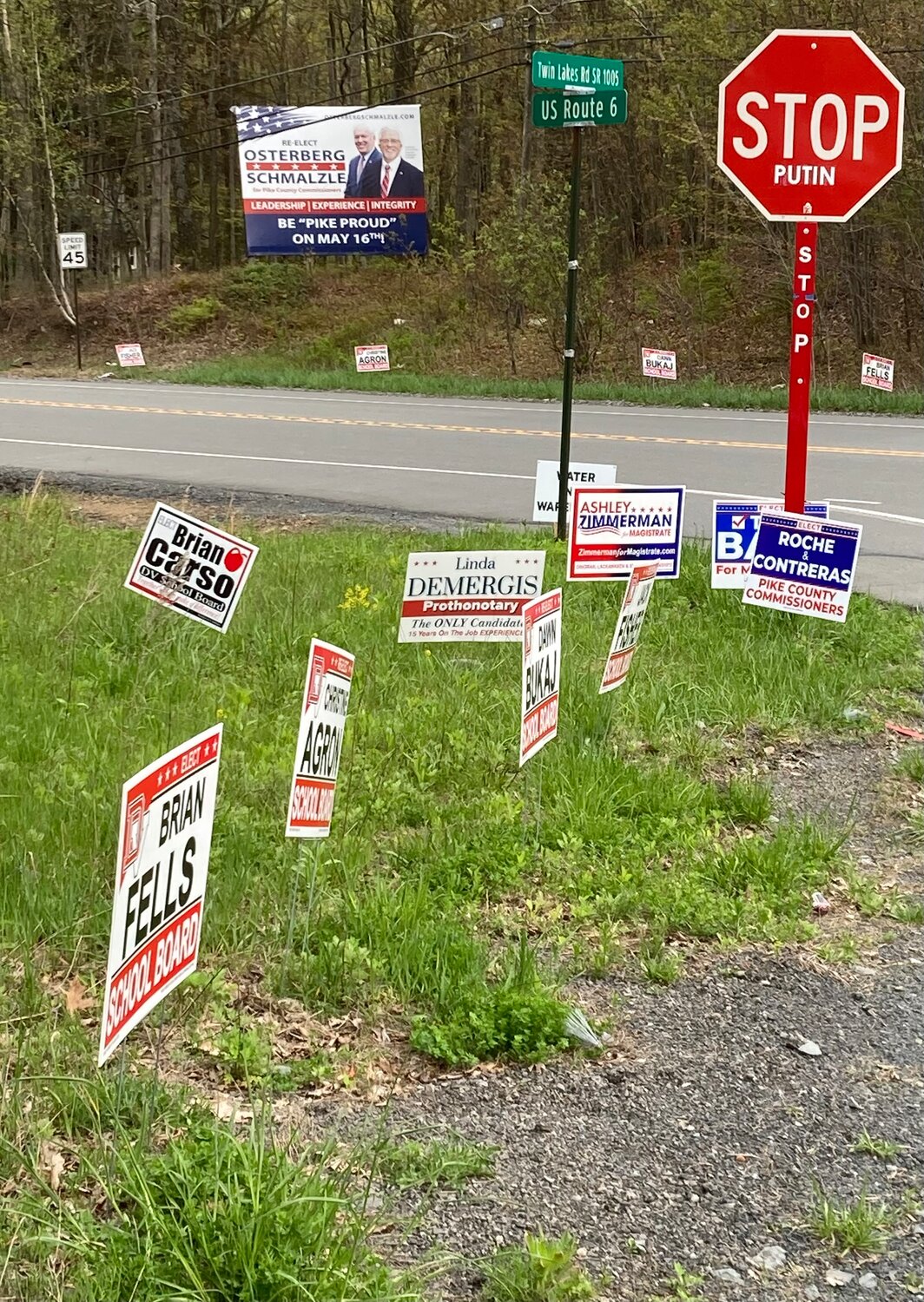 Between the school board, the commissioners', and the magistrate judge race, Pike County highways are aflush with politican signs. Voting will take place on May 16.